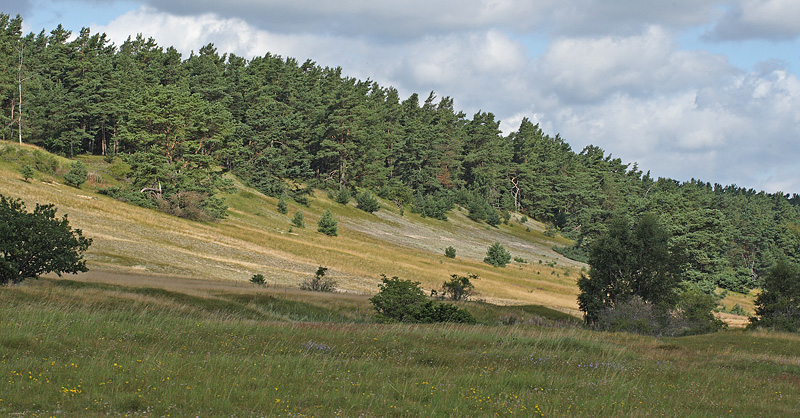 stkyst i Skne, Sverige d. 16  august 2011. fotograf; Lars Andersen