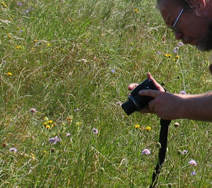 Lars Andersen er ved at fotografere Brunlig perlemorsommerfugl, Clossiana selene. Bt, Falster. 8 august - 2004 Fotograf: Henrik Mathiassen