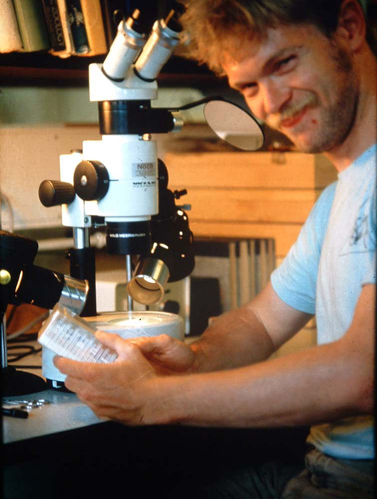 Lars Andersen på arbejde med illustrationer til "Nordeuropas Pyralider" i laboratoriet, Zoologisk Museum, sommeren 1984