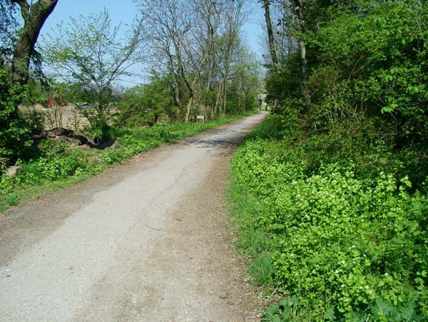 Her på stien skræmte jeg en Kirsebærtakvinge eller den Østlig takvinge op, da jeg kom cyklende. Dyssen, Christiania d. 28 april 2004. Fotograf: Lars Andersen