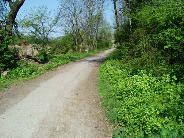 Her p stien skrmte jeg en Kirsebrtakvinge eller den stlig takvinge op, da jeg kom cyklende. Dyssen, Christiania d. 28 april 2004. Fotograf: Lars Andersen