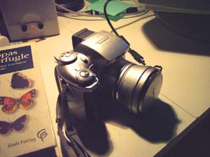 Mit første digitale kamera,et Fuji Finepix S304 købt d. 30 juni 2003. Dette kamera har et nærgrænse på 2 cm. Og 3 mil. Pixel. d. 2 december 2004. Fotograf: Lars Andersen