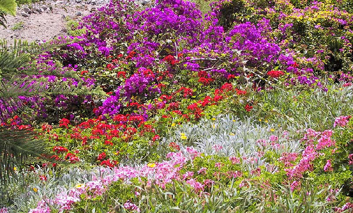 Puerto Morgan, Gran Canaria. Februar 2003. Fotograf: Lars Andersen