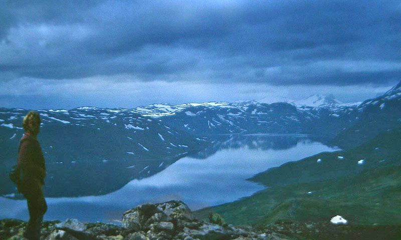 Lokalitet for Fjeldrandje. Fagerm 1800 m.h. Bygdin med udsigt til Norges hjeste bjerge, Glittertind og Galhgpiggen. Jotunheimen. Norge. juli 1992. Fotograf: Lars Andersen