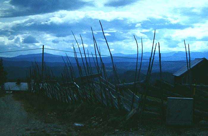 Lokalitet for Chokoladebrun Blfugl. Beitostlen, Valdresflya.juli 1992. Fotograf: Lars Andersen