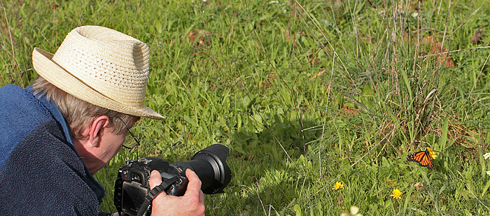 Jens Stolt ved at fotograferer en Monark, Danaus plexippus (Linnaeus, 1758). Silves, Algarve, Portugal d 28 January 2011. Photographer; Lars Andersen