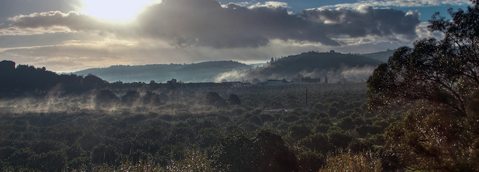 Silves, Algarve, Portugal d 28 January 2011. Photographer; Lars Andersen