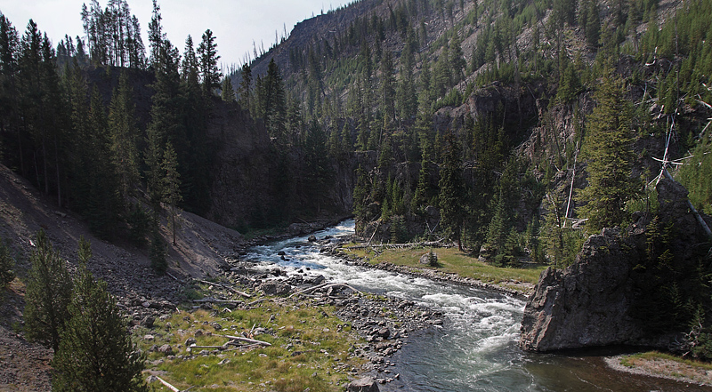 Yellowstone Nat. Park, Wyoming, USA d. 13  august 2012. Photographer; Henrik S. Larsen