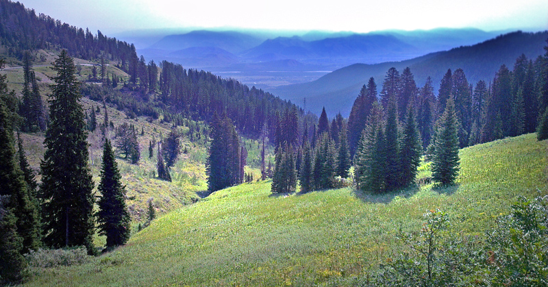 Yellowstone Nat. Park, Wyoming, USA d. 12  august 2012. Photographer; Henrik S. Larsen