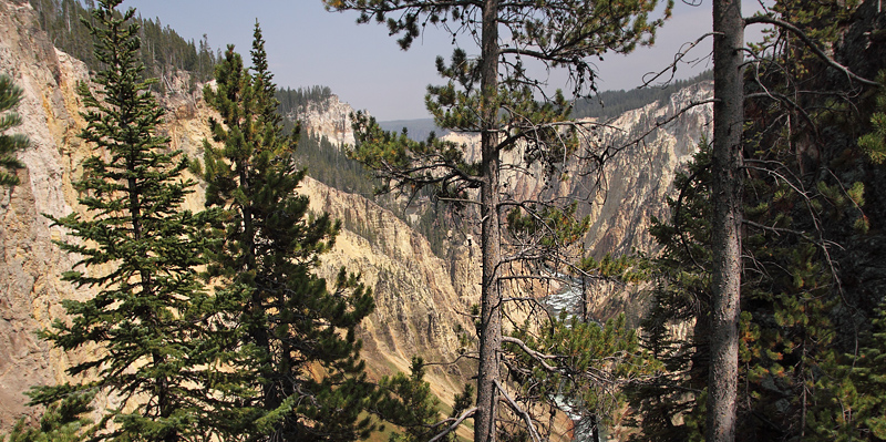 Yellowstone Nat. Park, Wyoming, USA d. 14 august 2012. Photographer; Henrik S. Larsen