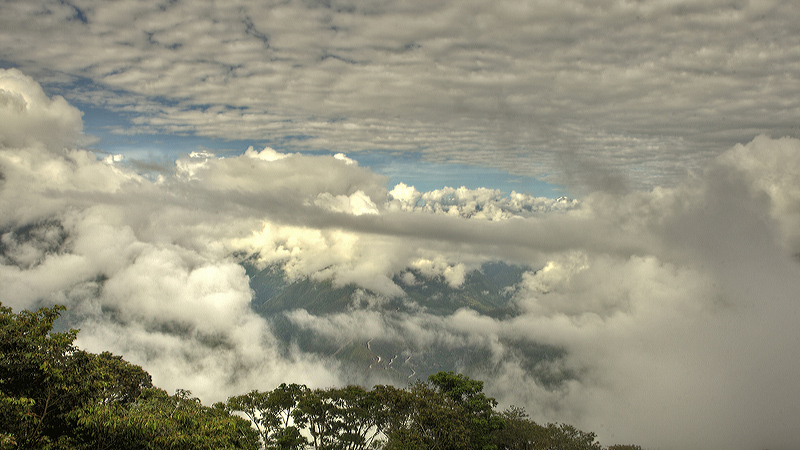 Coroico valley elev. 1800 m. d. 15 January 2012. Photographer: Lars Andersen
