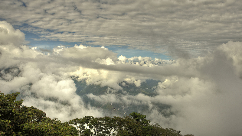 Coroico valley elev. 1800 m. d.  15 January 2012. Photographer: Lars Andersen