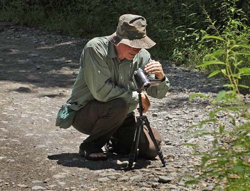 Yolosa, Yungas, elev. 1200 m. 18th January 2012. Photographer; Lars Andersen 