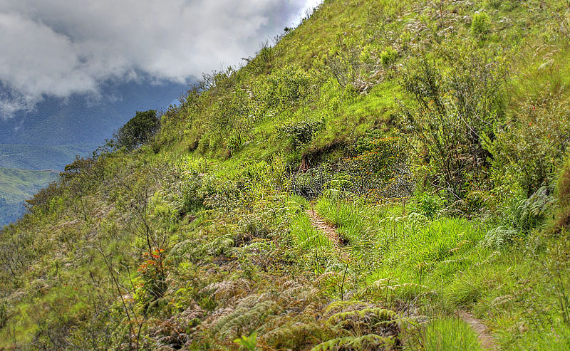 Coroico trail, Yungas, elev. 1900 m. 6 February 2012. Photographer: Lars Andersen