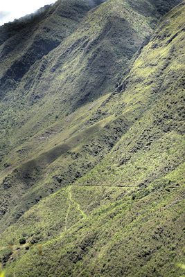 Coroico 1900 m.h. d. 6 February 2012. Photographer Lars Andersen