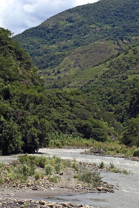 Rio Coroico elev. 1100 m. d.  7 February 2012. Photographer: Lars Andersen