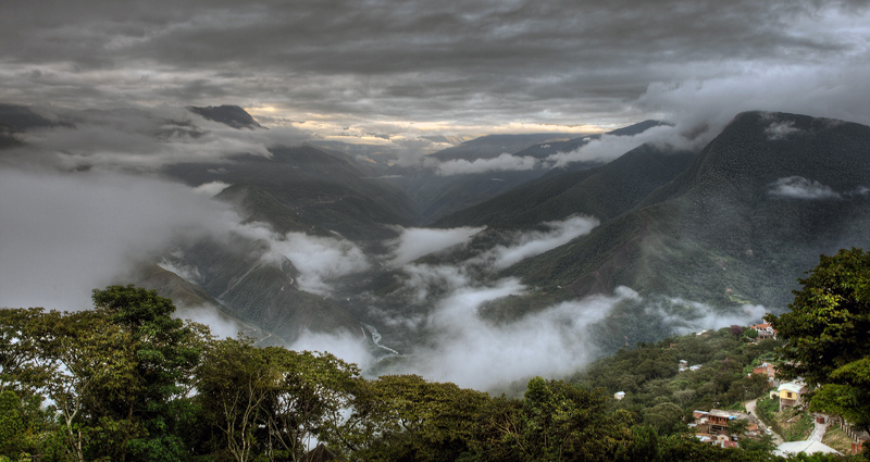 Camino de Muerte elev. 2600 m. Yungas, Bolivia d.  9 February 2012. Photographer: Lars Andersen