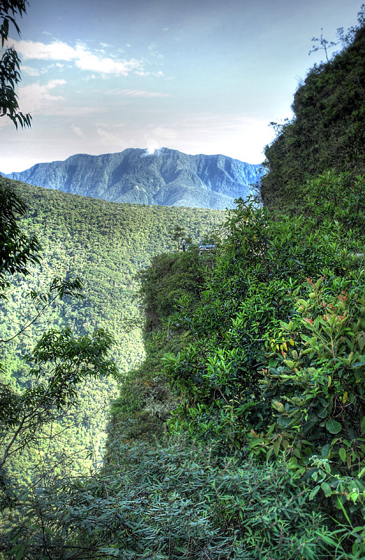 Camino de Muerte elev. 2600 m. Yungas, Bolivia d. 9 February 2012. Photographer: Lars Andersen