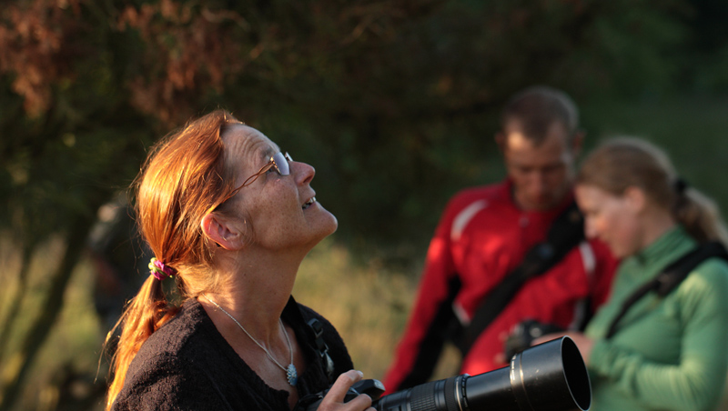 På jagt efter Blåhale i Mols Bjerge, Djursland. 27 juli 2012. Fotograf: Lars Andersen