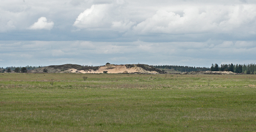 Randbøl Hede d. 13 maj 2012. Fotograf: Lars Andersen