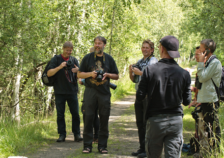 Her er de frste fotografer i frd med at fotograferer Ilia, Apatura ilia han. Pinseskoven, Vestamager, Danmark d. 17/7 2012. Fotograf: Lars Andersen