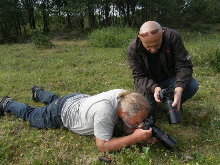Elling; Nørre Frydkær nord for Frederikshavn, Danmark; lars Andersen ligger og fotograferer larvespind med Allan Kristensen bagerst. d. 1/9 2012. Fotograf: Morten S. Mølgaard