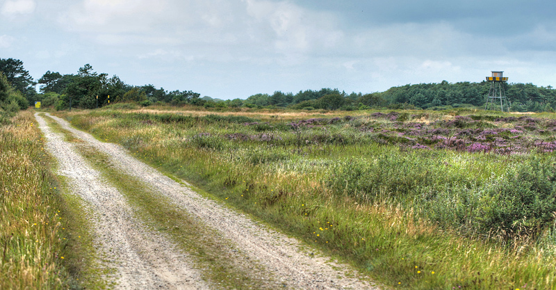 Tranum, Militært øvelseområde, Myrens Vej d. 22 august 2012. Fotograf; Lars Andersen
