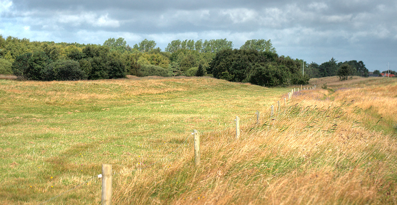 Enge syd for Strandby nord for Frederikshavn, Danmark d. 23/8 2012. Fotograf: Lars Andersen