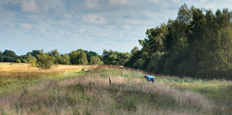 Tolshave Mose N 57° 31.132', E 10° 24.902', Danmark d. 23/8 2012. Fotograf: Lars Andersen