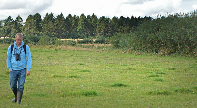 Råbjerg Mose; Blæsbjergvej nord for Frederikshavn, Danmark d. 24/8 2012. Fotograf: Lars Andersen