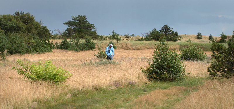 Ålbæk; Knasborg Å nord for Frederikshavn, Danmark d. 24/8 2012. Fotograf: Lars Andersen
