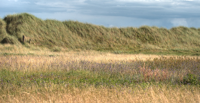 Jerup Strand nord for Frederikshavn, Danmark d. 24/8 2012. Fotograf: Lars Andersen