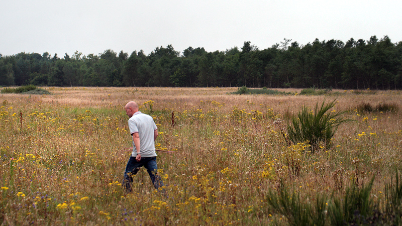 Aalbæk Plantage; Egebakkevej nord for Frederikshavn, Danmark d. 25/8 2012. Fotograf: Lars Andersen