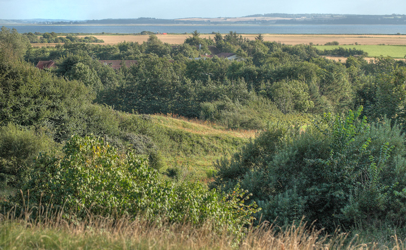 Oxholm, land, d. 26 august 2012. Fotograf;  Lars Andersen