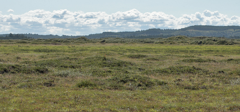 Ejstrup Strand d. 27 august 2012. Fotograf;  Lars Andersen