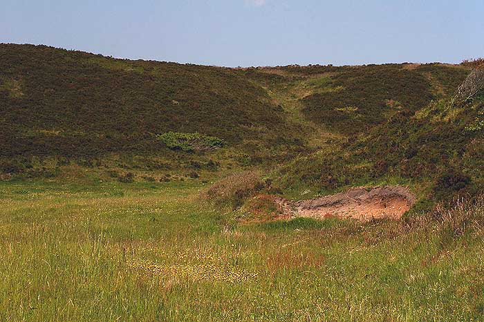 Nyopdaget Lokalitet for Hedepletvinge  Euphydryas aurinia. Bakkerne ved Brus, Lundby hede, Nordjylland. d. 15 Juni 2005. Fotograf: Lars Andersen