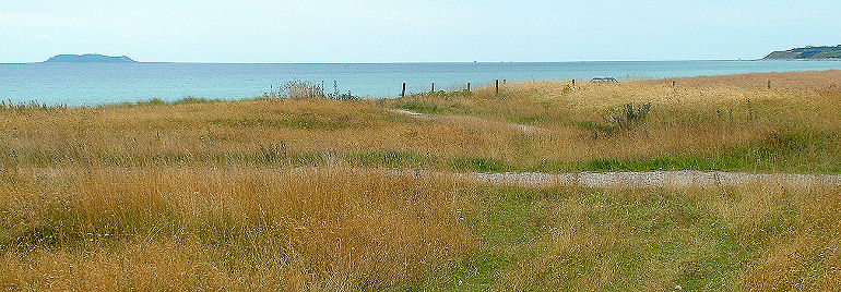 Lokalitet for Kommabredpande. Drby strand med udsigt til en hjelm i horisonten, der stvregnede s sommerfuglene sad stille i grsset. d. 8 august 2005. Fotograf: Lars Andersen