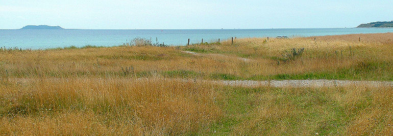 Lokalitet for Kommabredpande. Dråby strand med udsigt til øen hjelm i horisonten, der støvregnede så sommerfuglene sad stille i græsset. d. 8 august 2005. Fotograf: Lars Andersen