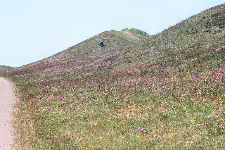 Lidt oppe ad skrnten tilhjre er lokaliteten for Argusblfugl, Heatherhill, Rgeleje d. 23 juni 2005. Fotograf: Lars Andersen