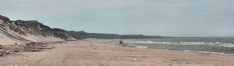 Der ligger en lokalitet for Brunlig perlemorsommerfugl lige bag klitrkken. Vesterhvarre Rimmer, Vendsyssel. Tannisbugten en stille sommerdag. d. 10 juli 2005. Fotograf: Lars Andersen. Lngere nede langs stranden ligger Skiveren, som er den nordligste lokalitet for Sortbrun blfugl.