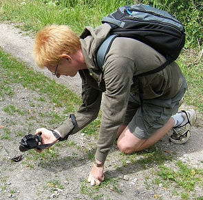 Kaj Dahl fotografer Iris han, Pinseskoven d. 16 juli - 2005. Fotograf: Peter Mllmann