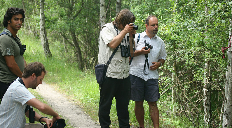 Irisfeber hæ hæ, Pinseskoven d. 18 juli - 2005. Fotograf: Lars Andersen