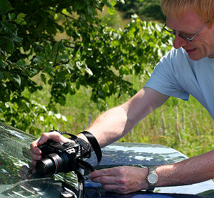 Kaj Dahl fotografere Det Hvide W, Satyrium w-album på bagruden af sin bil, den stod parkeret i skyggen af et elmetræ. Brandbjerg. 3 juli 2005. Fotograf: Lars Andersen
