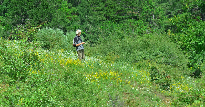 Jeravna, Bulgarien. d. 30 juni 2013. Fotograf: Martin Bjerg