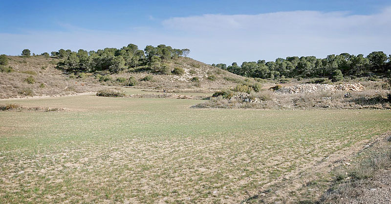 Candasnos, prov. Zaragoza, Spain d. 29 march 2008. Photographer; Tom Nygaard Kristensen