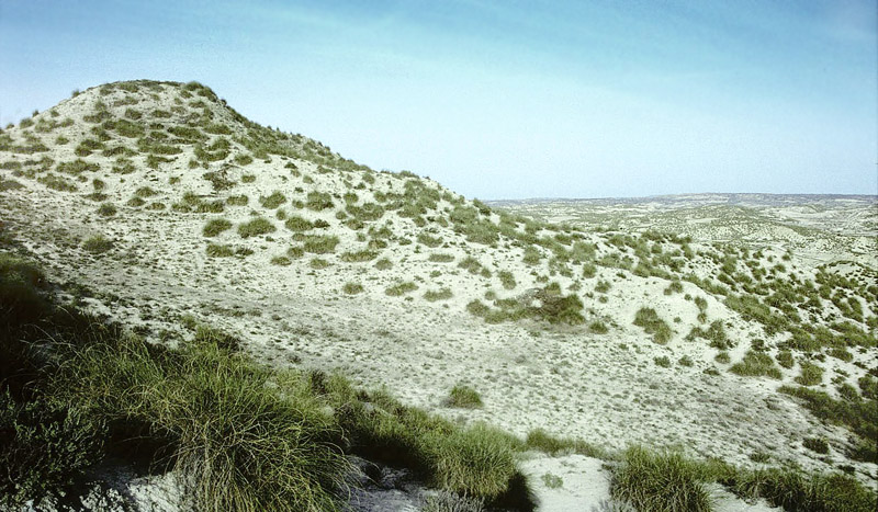 Lokalitet for Spansk Sorttip. Hoya de Baza, prov. Granada, Andalusien, Spain d. 24 april 1999. Photographer; Tom Nygaard Kristensen