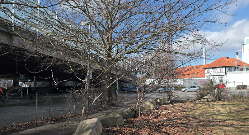 Her p et lille elmetr p Nrrebro ved Nordre Fasanvej under Bispeengbuen fandt jeg Det Hvide W, Satyrium w-album g. Falkoner Alle, Frederiksberg ved Metro st. d. 4 marts 2013. Fotograf: Lars Andersen