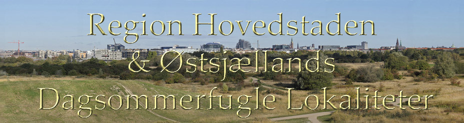 Langt ned i halsen pornostjerne zilean twitter SEX HJØRRING DENICE KLARSKOV DANSK PORNO