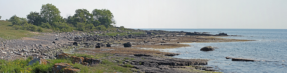 Lokalitet for Fransk Bredpande, Pyrgus armoricanus. Syd for Simrishamn, Skne, Sverige. d. 8 juni 2013. Fotograf: Lars Andersen