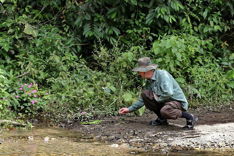 Caranavi 800 m. Yungas, Bolivia d.  2 January 2014. Photographer:  Ole Andersen